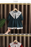 Spring baby girl clothes lace long sleeve dress costume for toddler girl baby birthday kids clothing straight long dresses dress - Sellinashop