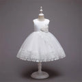 Wedding Gown Lace Tutu Princess Dress Floral Embroidery Girls Children Clothing Kids Party For Girl Clothes - Sellinashop