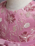 Girls Princess Dress Sleeveless Flower Embroidery Tutu Dress Performance Dress Wedding Flower Girls For Evening - Sellinashop