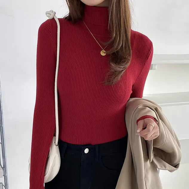Women Fall Turtleneck Sweater Knitted Soft Pullovers , Basic Soft Sweaters For Women Autumn Winter - Sellinashop