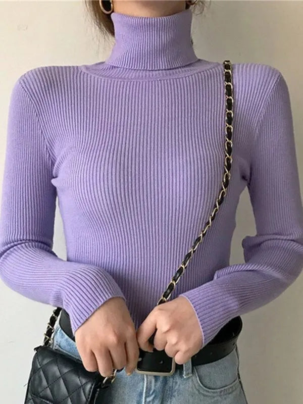 Women Fall Turtleneck Sweater Knitted Soft Pullovers , Basic Soft Sweaters For Women Autumn Winter - Sellinashop