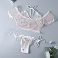 Women's Ultra-thin Cup Bra & Brief Sets Mesh Lace Underwear Set Transparent Beauty Back Hollow Embroidery Lingerie Set - Sellinashop