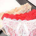 Erotic Sexy Open Lace Panties Transparent Bow Low Waist Underpants Female Breathable Hollow Mesh Briefs Women Sexy Lingerie - Sellinashop